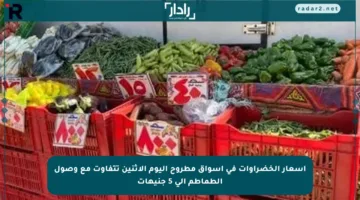 أسعار الخضراوات في أسواق مطروح اليوم الاثنين تتفاوت مع وصول الطماطم إلى 5 جنيهات